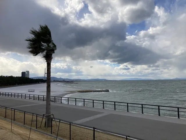 8月の沖縄は台風がくる？