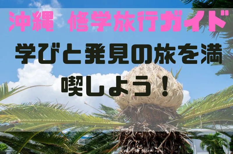 沖縄 修学旅行ガイド：学びと発見の旅を満喫しよう！